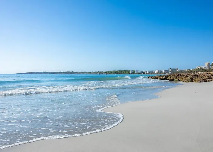 Apto Con Terraza 204