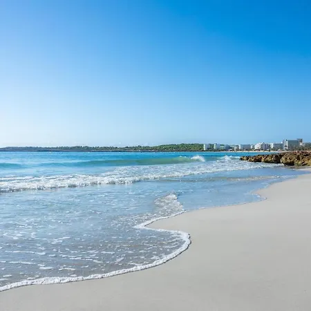 Apto Con Terraza 204